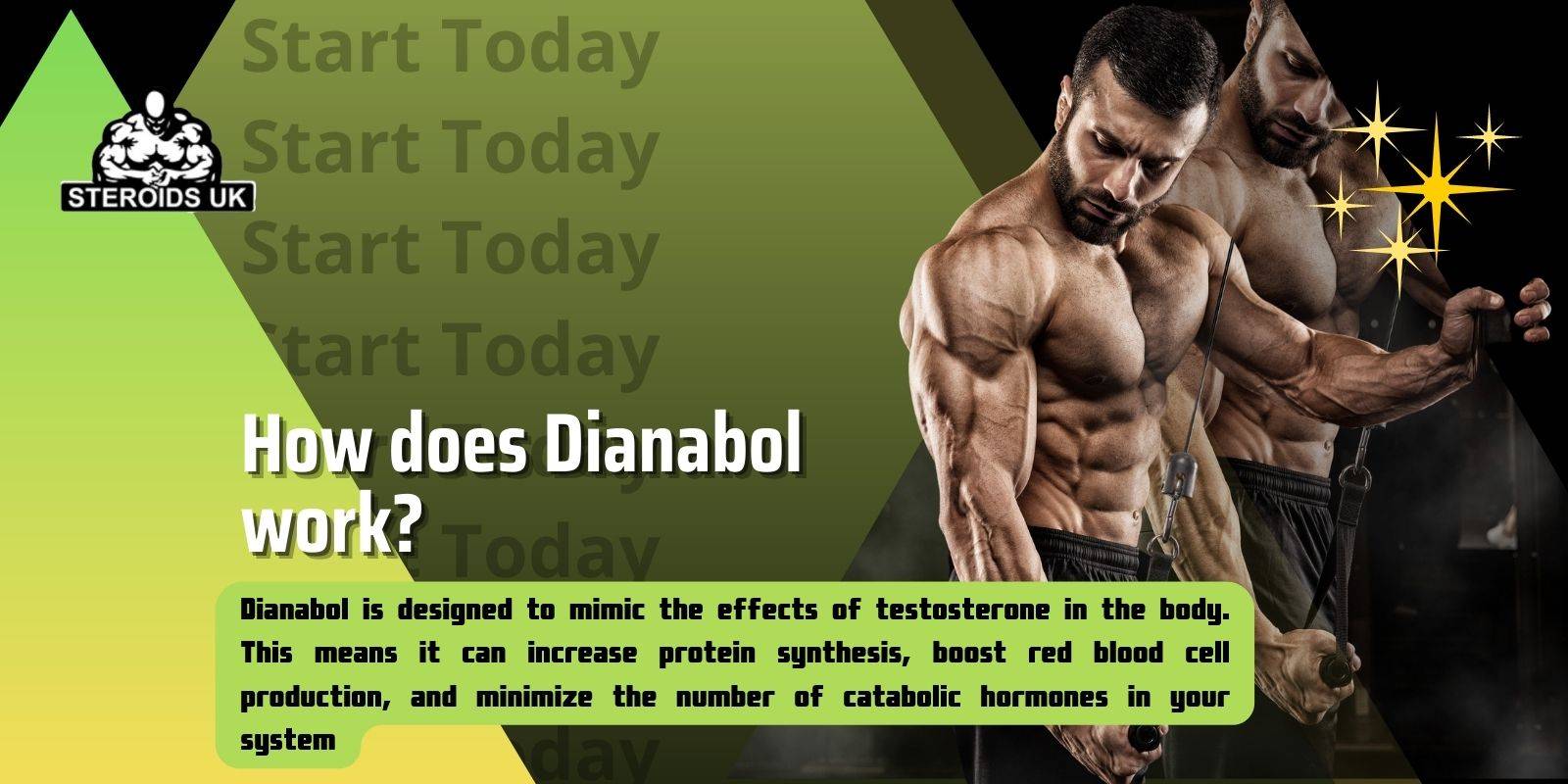 How does Dianabol Works